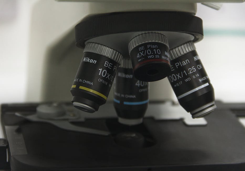 2. Germ Theory by Louis Pasteur (1860s) (Image Credits: Pexels)