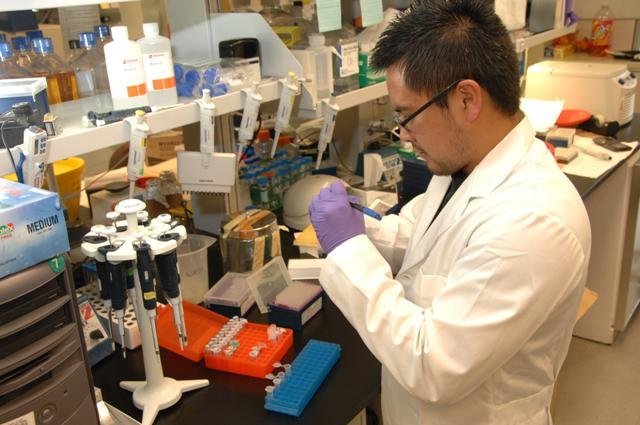 The Foundation of Modern Life (Image courtesy United States National Institutes of Health.. As explicitly mentioned on their website this image is free content. Medical Laboratory Scientist at bench with micropipettes.NIH copyright notice, Public domain)