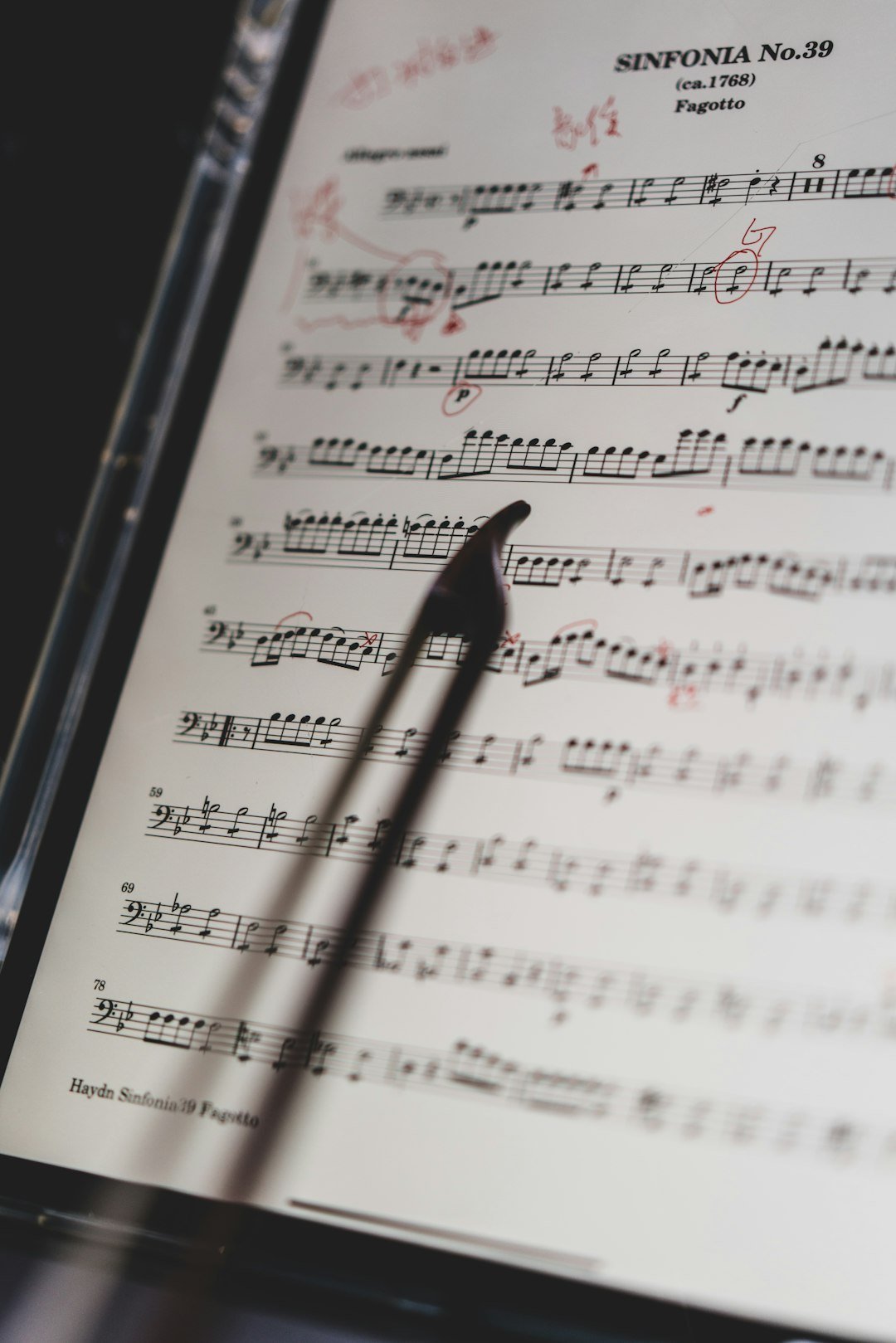 Symphony No. 9 by Ludwig van Beethoven (Image Credits: Unsplash)