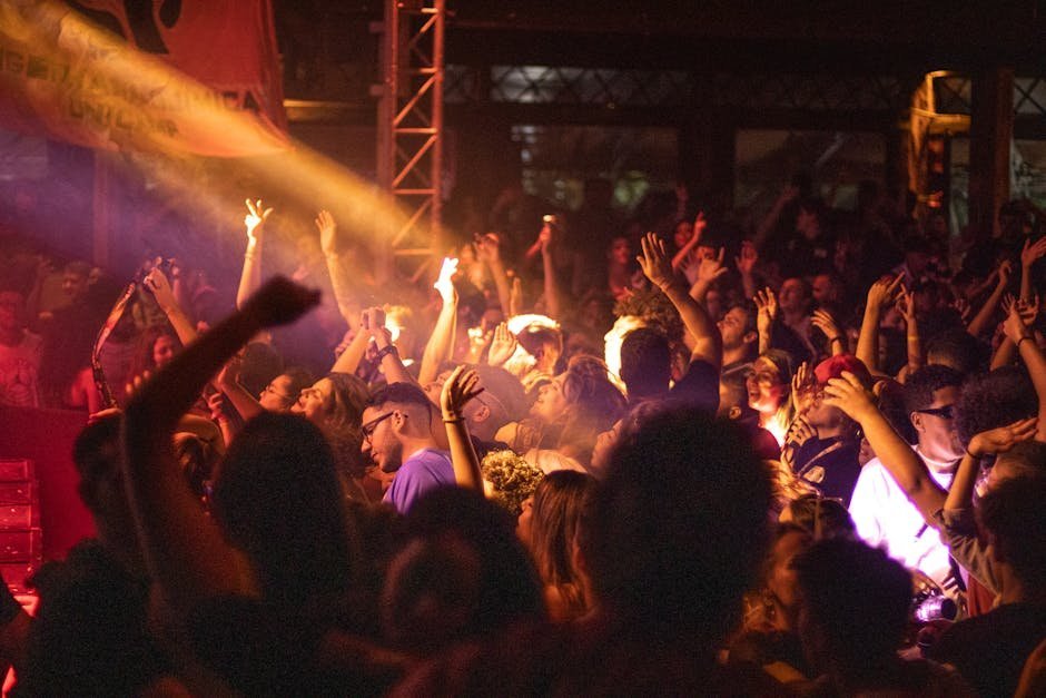 "Praise You" by Fatboy Slim (1999) (Image Credits: Pexels)