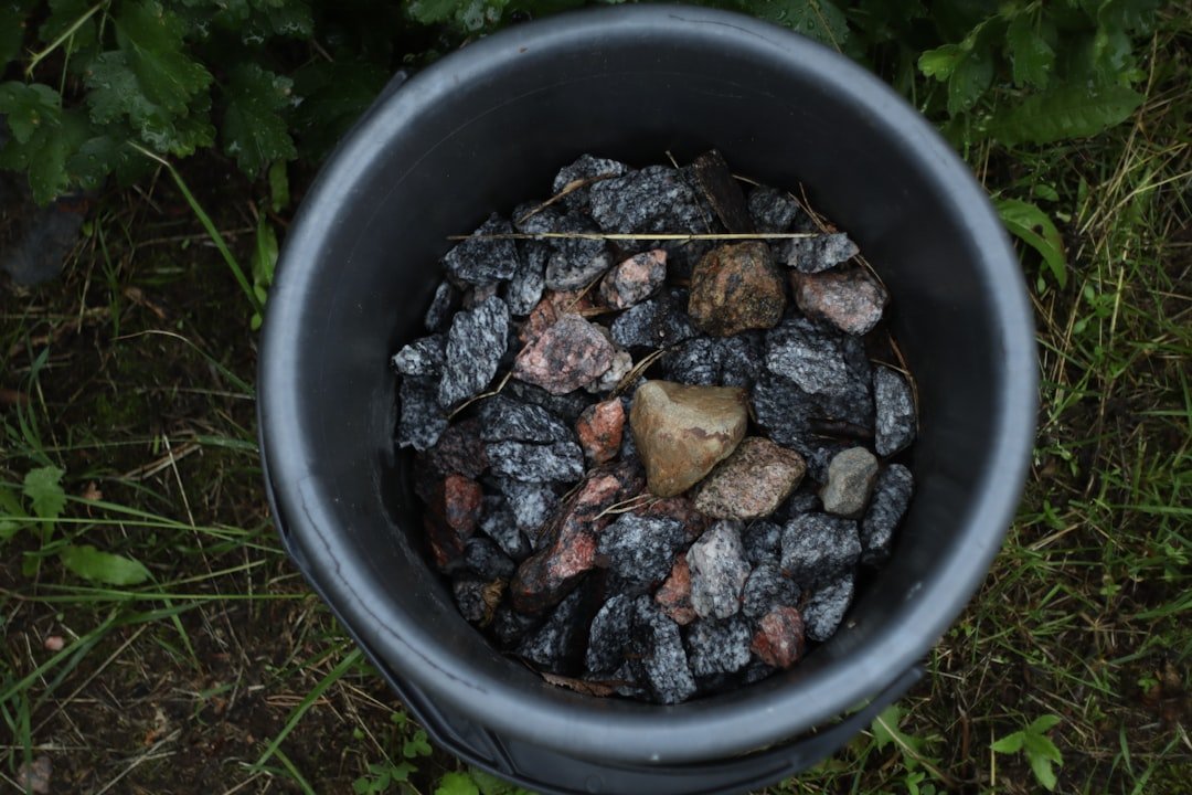 Myth 3: Adding Gravel or Rocks at the Bottom of Pots Improves Drainage (Image Credits: Unsplash)