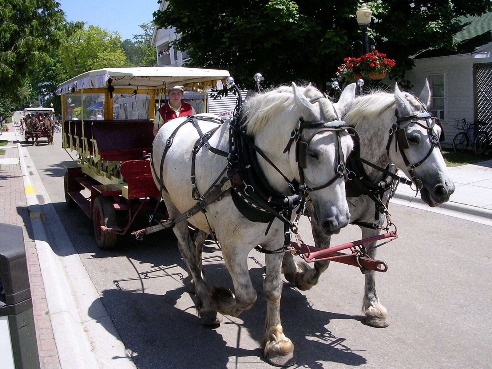 Mackinac Island, Michigan (By Eli Duke from Seattle, United States, CC BY-SA 2.0)