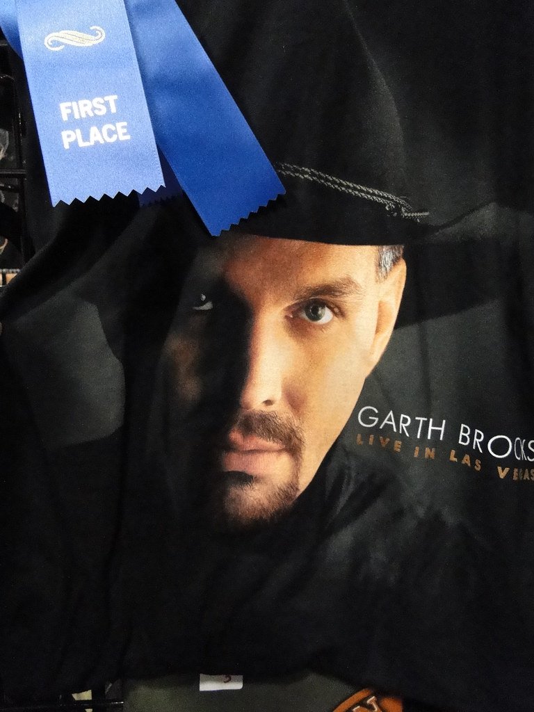 Unanswered Prayers by Garth Brooks (WikiThreads, Flickr, CC BY-SA 2.0)